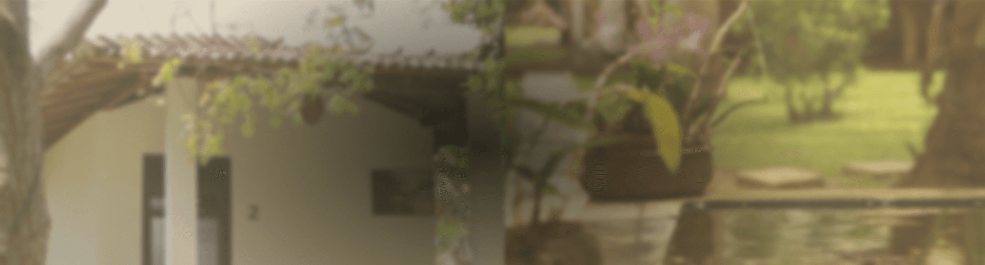 Sri Lanka background